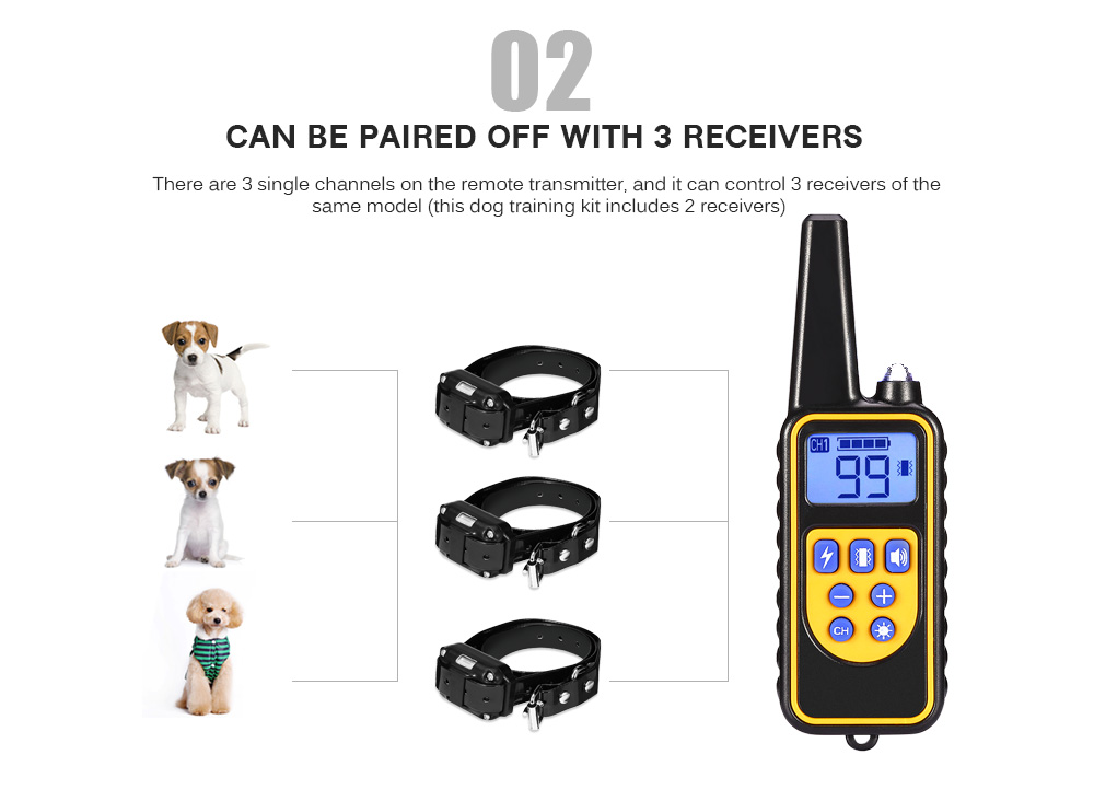 800m Waterproof Rechargeable Remote Control Dog Electric Training Collar with 2 Receivers